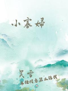 小寡妇