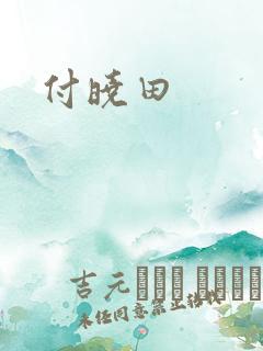 付晓田