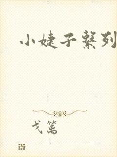 小婕子系列小说