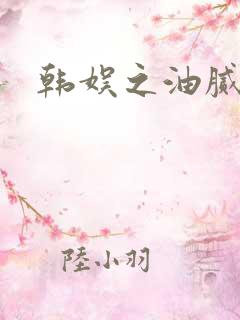 韩娱之油腻夫妇