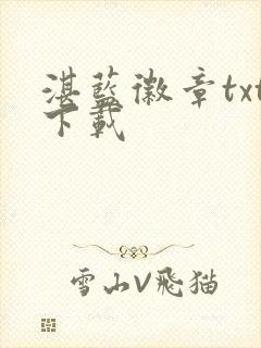 湛蓝徽章txt下载