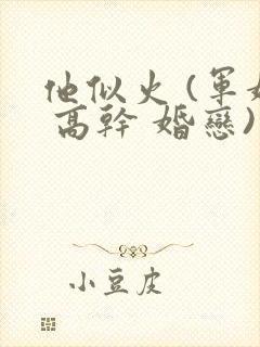 他似火 (军婚 高干 婚恋)