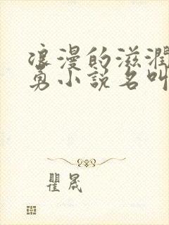 浪漫的滋润刘大勇小说名叫什么?