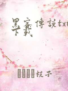 黑客传说txt下载