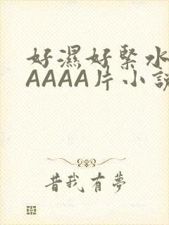 好湿好紧水多AAAAA片小说