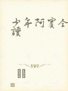 少年阿宾全本阅读