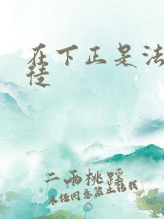 在下正是法外狂徒