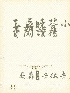 王磊晓芬小说免费阅读杨