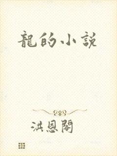 龙的小说