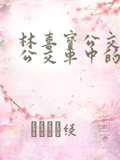 林喜宝公交车(公交车中的林喜宝)