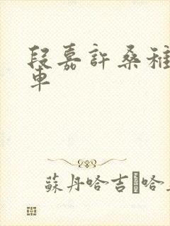 段嘉许桑稚浴室车