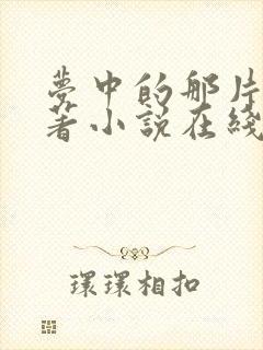 梦中的那片海原著小说在线阅读