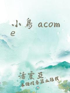 小鸟 acome