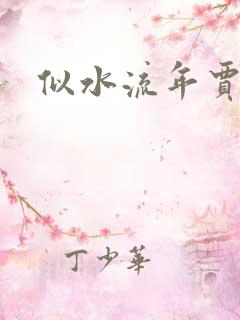 似水流年贾二虎