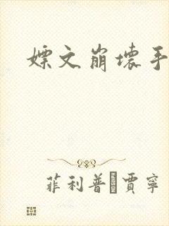 嫖文崩坏手册