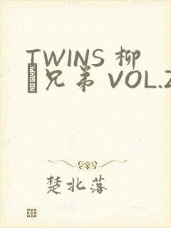 TWINS 柳澤兄弟 VOL.2