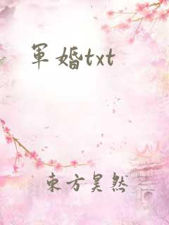 军婚txt