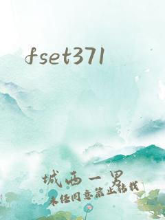 fset371