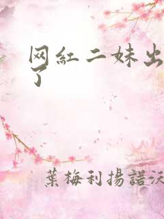 网红二妹出啥事了