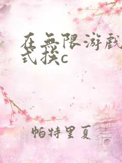 在无限游戏里花式挨c