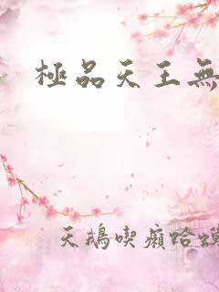极品天王无弹窗
