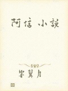 阿信 小说