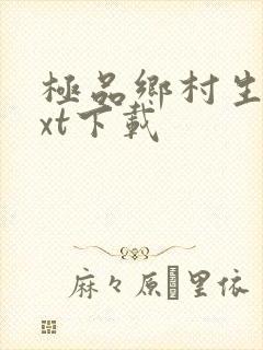 极品乡村生活txt下载