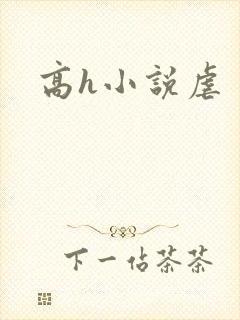 高h小说虐