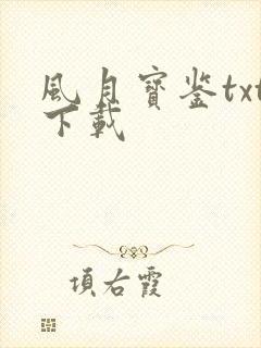 风月宝鉴txt下载