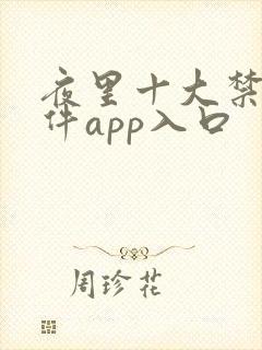 夜里十大禁用软件app入口