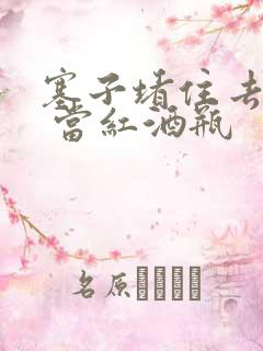 塞子堵住去上学 当红酒瓶