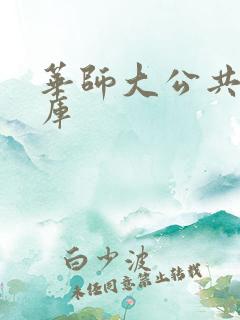 华师大公共数据库