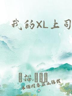 我的XL上司