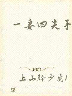 一妻四夫手记