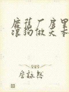 废旧厂房里和流浪狗做天本