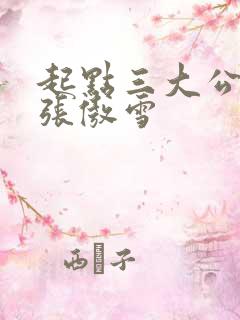 起点三大公交车张傲雪