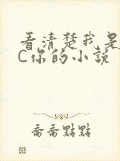 看清楚我是怎么C你的小说