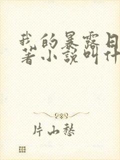 我的暴露日记原著小说叫什么