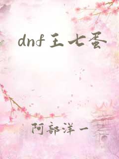 dnf王七蛋