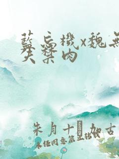 蓝忘机x魏无羡失禁肉