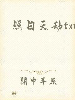 照日天劫txt