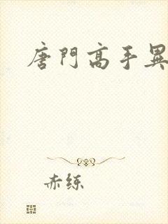 唐门高手异界游