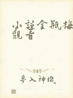 小说金瓶梅在线观看