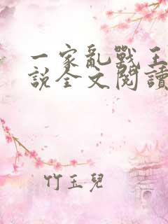 一家乱战王芳小说全文阅读