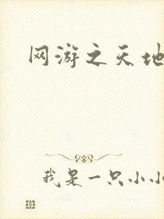 网游之天地下载