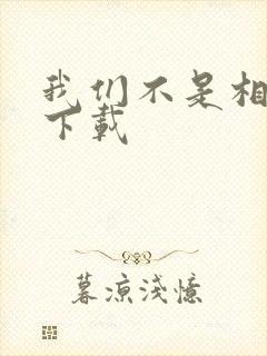 我们不是相爱吗下载