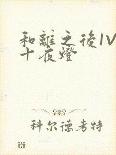 和离之后1V1十夜灯