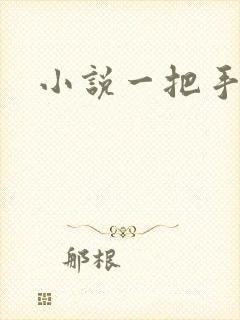 小说一把手
