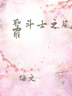 圣斗士之风舞娑罗