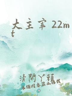 大主宰 22mt